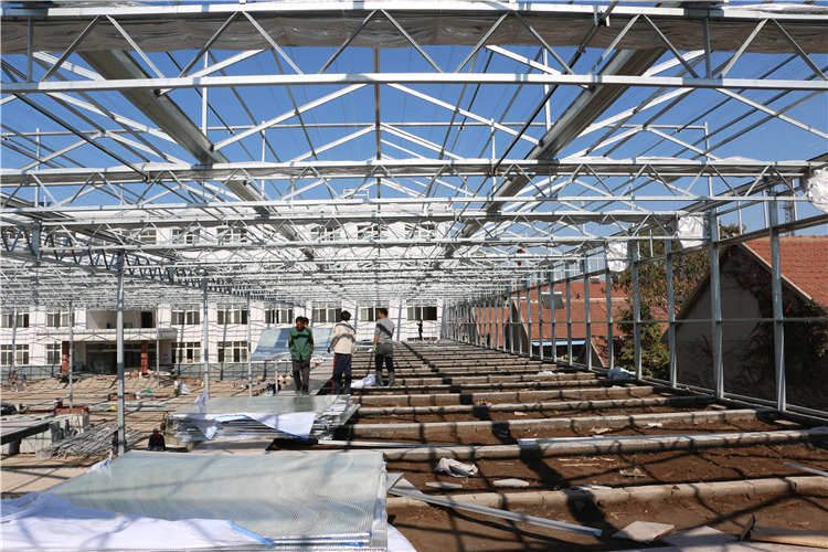 河南智能溫室。玻璃溫室。陽光板溫