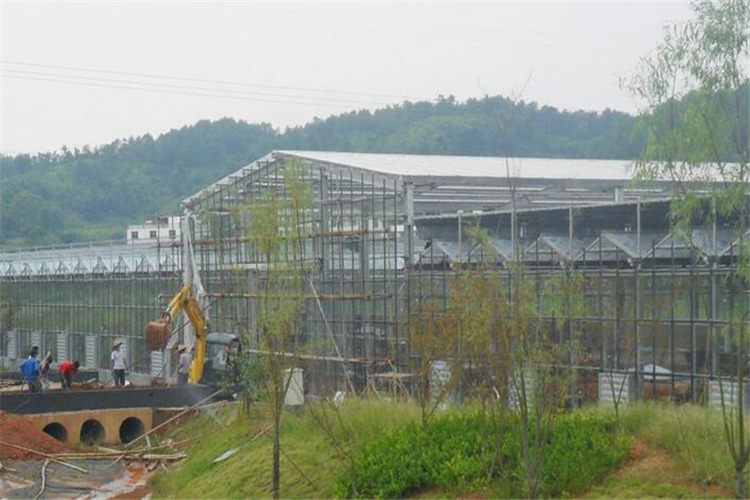 智能玻璃溫室。PC陽光板連棟溫室