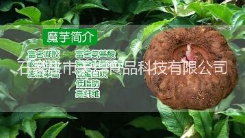 鹵牛肉注射保水魔芋粉 鹵牛肉提高出品率保水增加嫩度口感技術(shù)原料