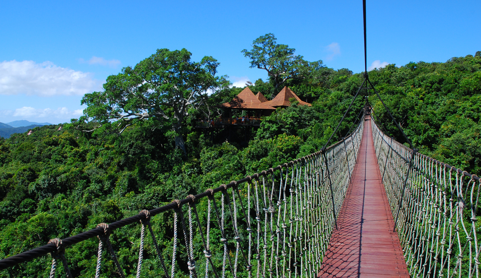 景觀吊橋制造廠家_人行吊橋多少錢(qián)