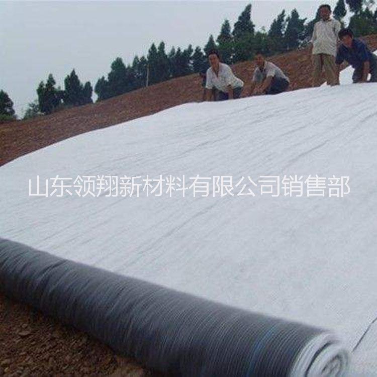 膨潤土防水毯 膨潤土防水毯報價 膨潤土防水毯電話 膨潤土防水毯批發(fā) 膨潤土防水毯直銷