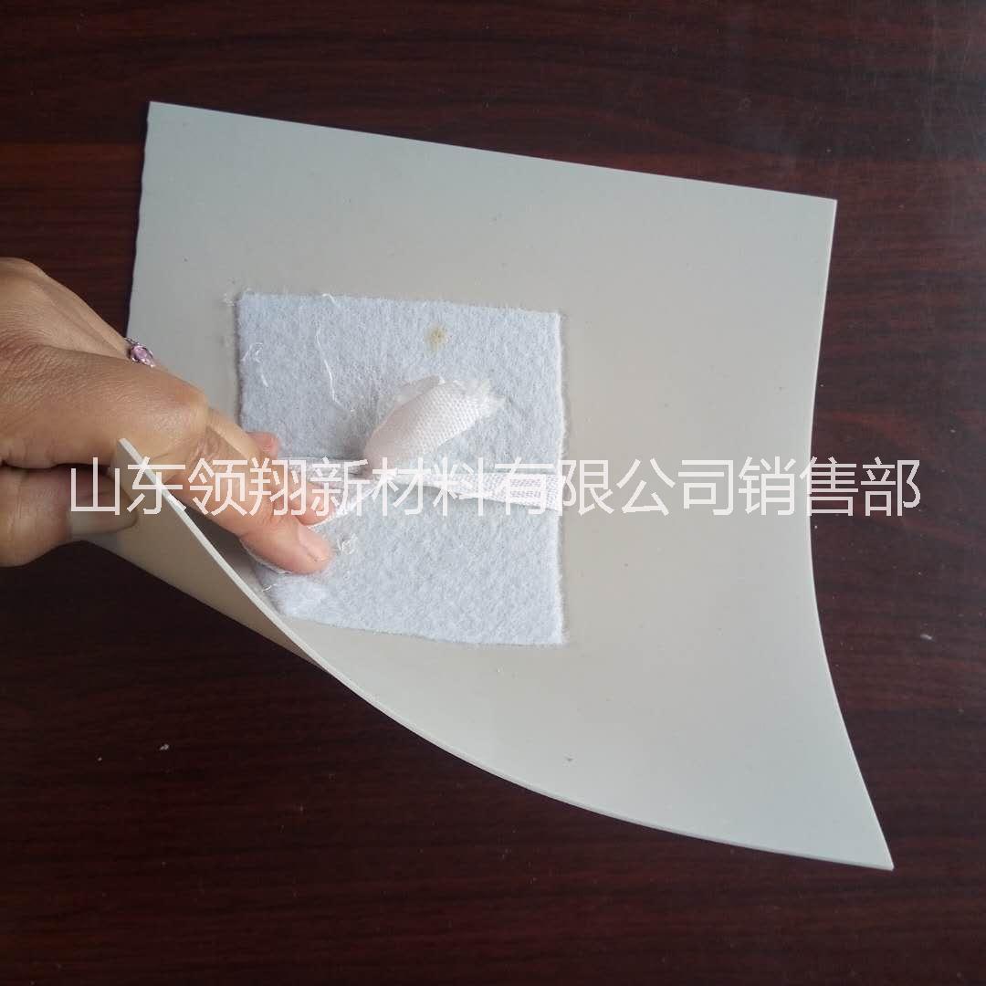 HDPE防水板 HDPE防水板生產(chǎn)廠家 HDPE防水板報價 HDPE防水板直銷 HDPE防水板哪家好 HDPE防水板供