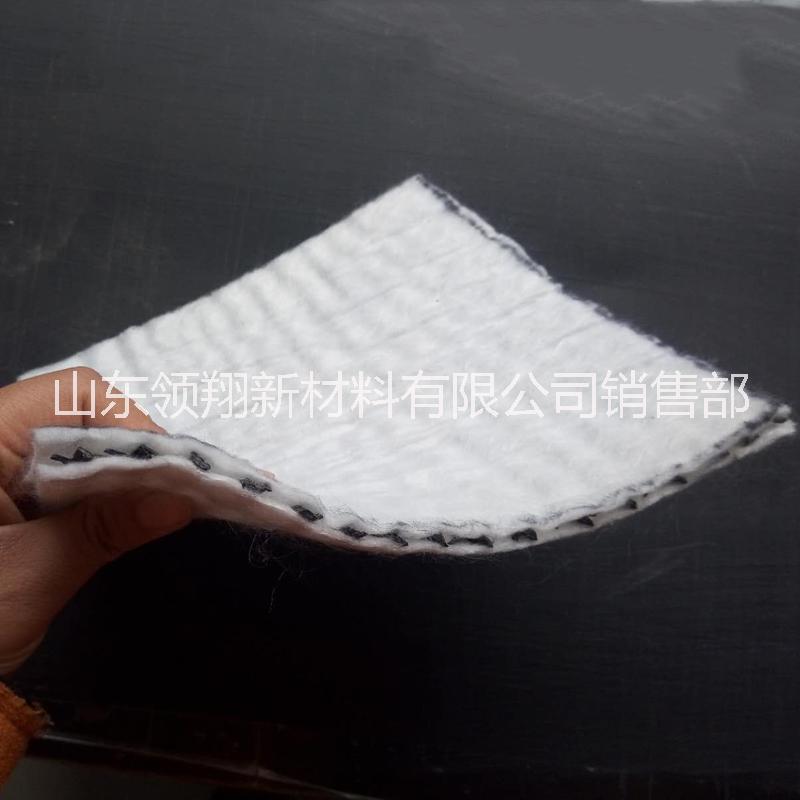 垃圾場*復合排水網(wǎng)廠家直銷隔離滲漏復合排水網(wǎng) 垃圾場*復合土工排水網(wǎng) 垃圾場復合土工排水網(wǎng)