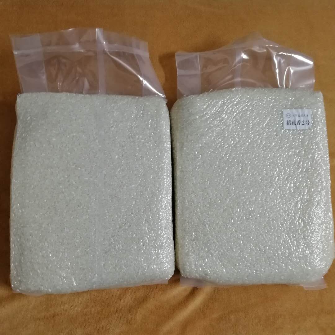 江門五常大米供應(yīng)廠家直銷