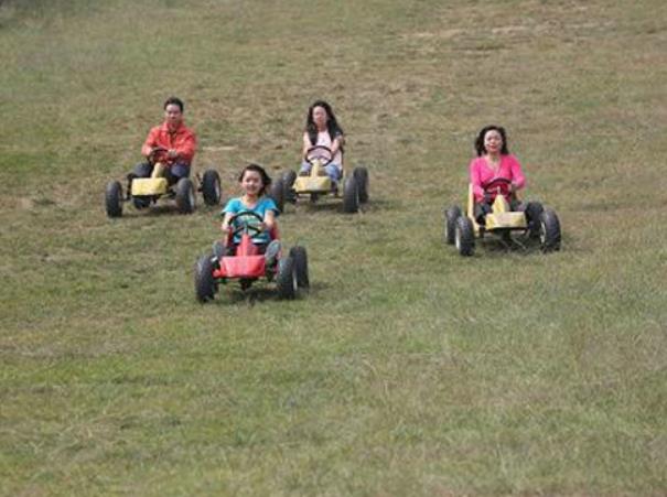 觀光四輪車  純電動觀光四輪車