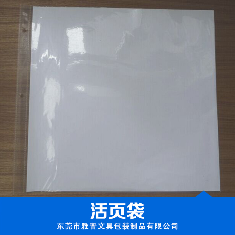 活頁袋 廠家直銷 供應(yīng)優(yōu)質(zhì) pp透明活頁袋 11孔文件袋 批量直銷