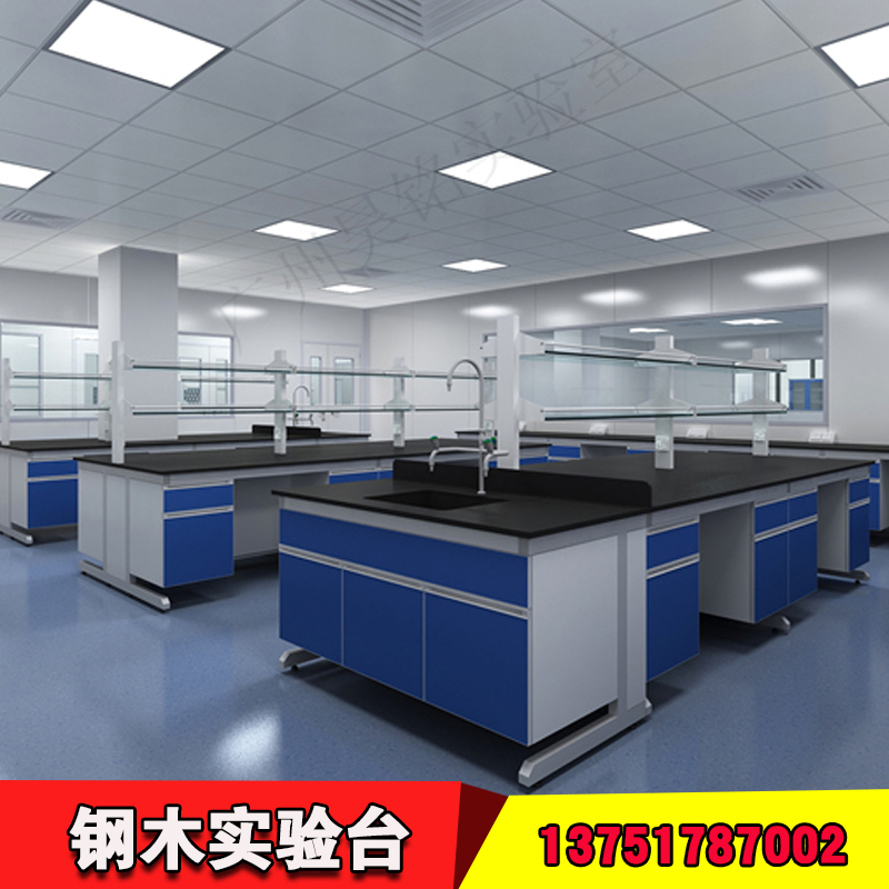 鋼木中央實驗臺公司 鋼木實驗臺生產(chǎn)商 鋼木實驗臺一平米多少錢 廣東鋼木實驗臺廠家