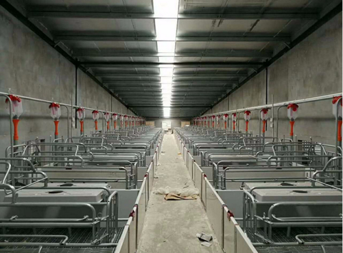 豬場自動化料線豬場自動化上料系統(tǒng)養(yǎng)豬料線塞片料線自動喂豬設(shè)備全自動料線自動供料系統(tǒng)