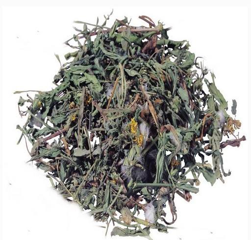 湖北蒲公英報價批發(fā)/蒲公英基地/蒲公英供應(yīng)商/方強個體戶