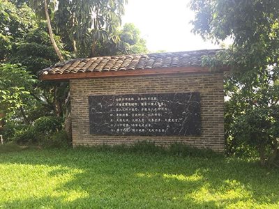 馬尼拉草皮廠家 馬尼拉草皮公司 馬尼拉草皮價格 馬尼拉草皮商鋪 馬尼拉草皮批發(fā) 馬尼拉草皮報價 馬尼拉草皮供應商