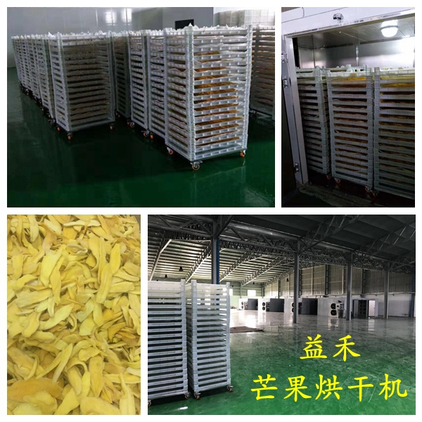 高科技芒果干烘干機(jī)價(jià)格 芒果烘干設(shè)備價(jià)格