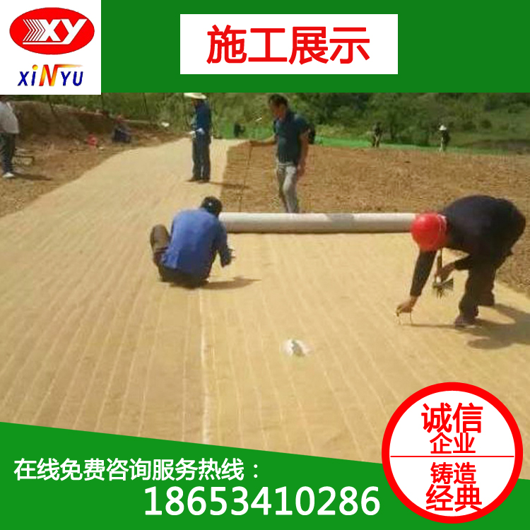 椰絲生態(tài)毯 植物纖維毯 護(hù)坡綠化 生態(tài)修復(fù)*椰絲毯 河道邊坡防護(hù)