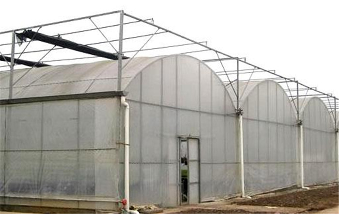 江西蔬菜大棚 插地大棚 鋼架大棚 大棚骨架