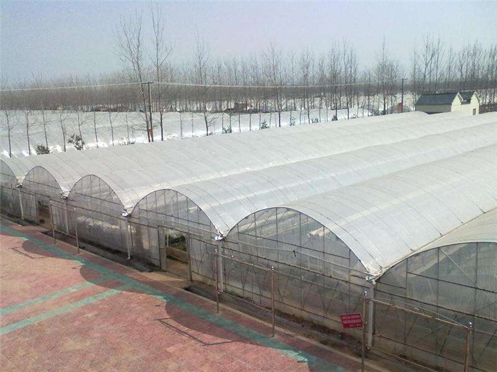 大棚 連棟大棚 連體大棚 蔬菜大棚 大棚骨架