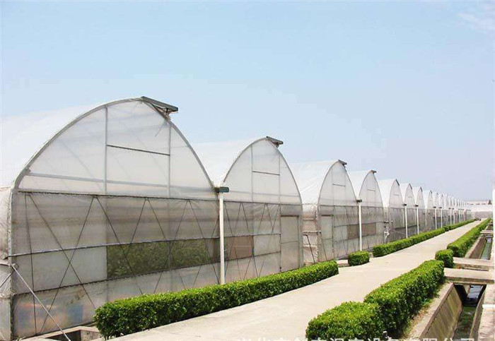 江西連棟溫室廠家現(xiàn)貨連棟大棚 大棚支架 蔬菜大棚骨架等大棚資材