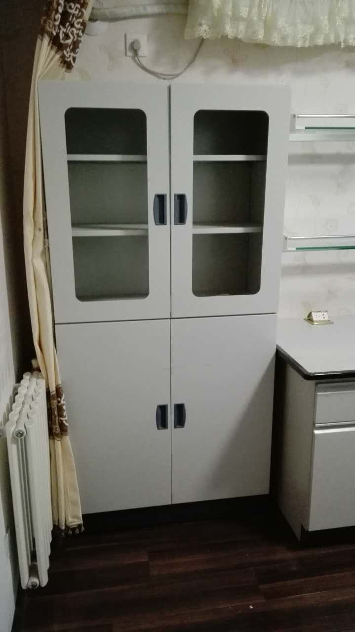 實(shí)驗(yàn)室全鋼藥品柜全鋼器皿柜存儲(chǔ)柜樣品柜試劑柜