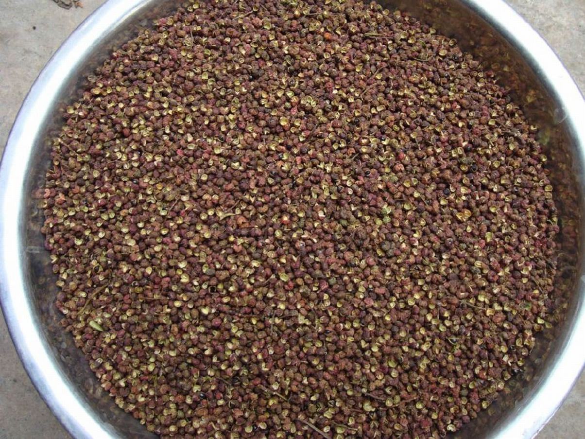 紅花椒一級價格 云南紅花椒報價 云南紅花椒批發(fā) 云南紅花椒哪家好 云南紅花椒供應商