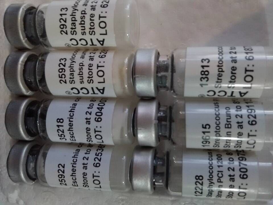 ATCC 14028-MINI-PACK腸炎沙門氏菌亞種 ATCC菌種 ATCC中文官網(wǎng)