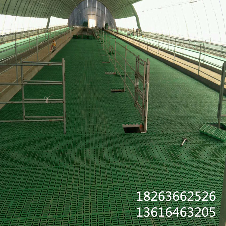 羊床糞板  羊圈*漏糞地板 塑料羊糞板