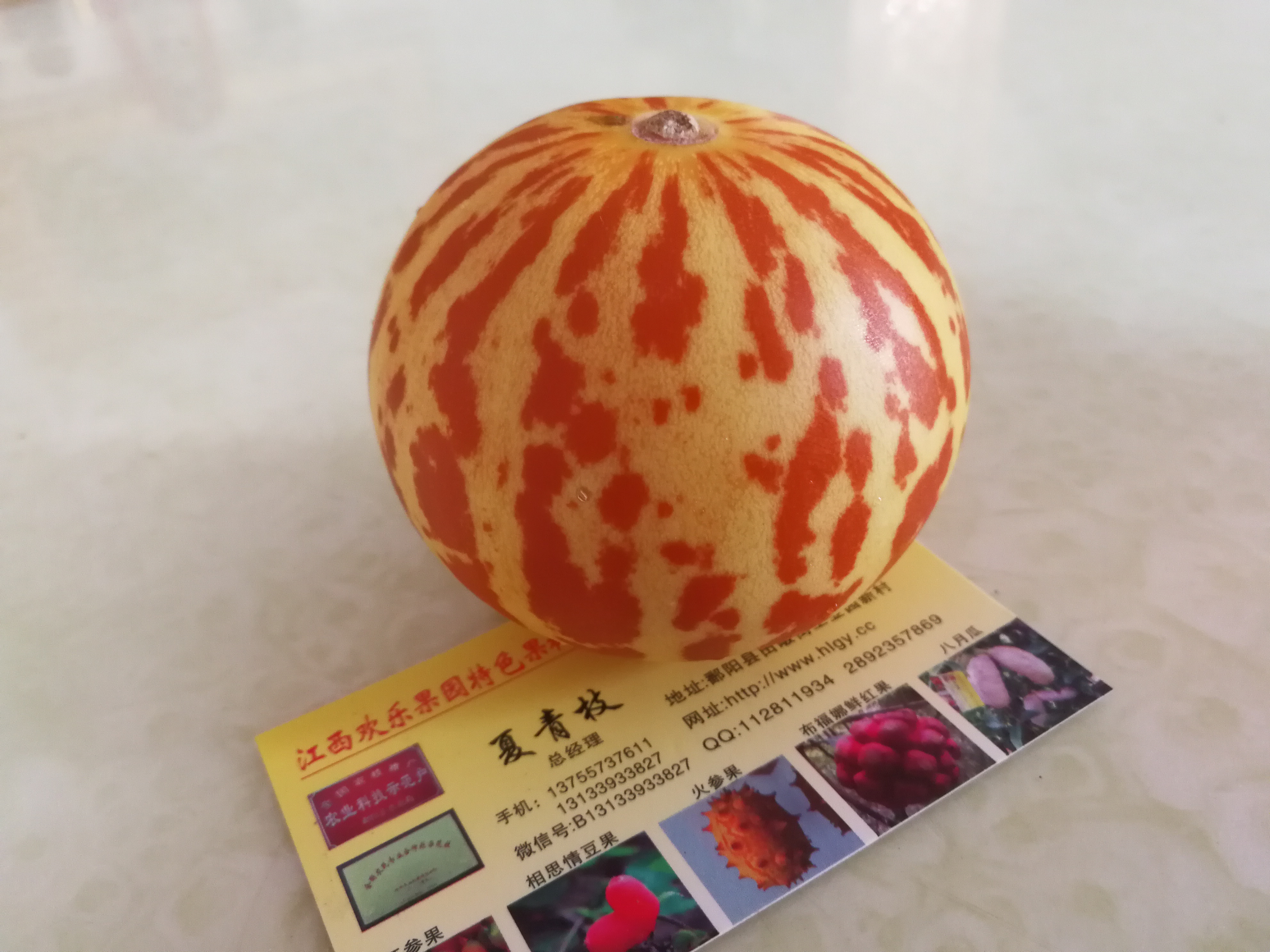 香水瓜 供應(yīng)香水瓜種子 江西香水瓜 香水瓜種子供應(yīng) 香水瓜種子廠家直銷