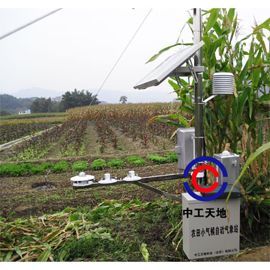 生產(chǎn)商*農(nóng)業(yè)小氣象站 生產(chǎn)商*農(nóng)業(yè)小氣象站TD-1