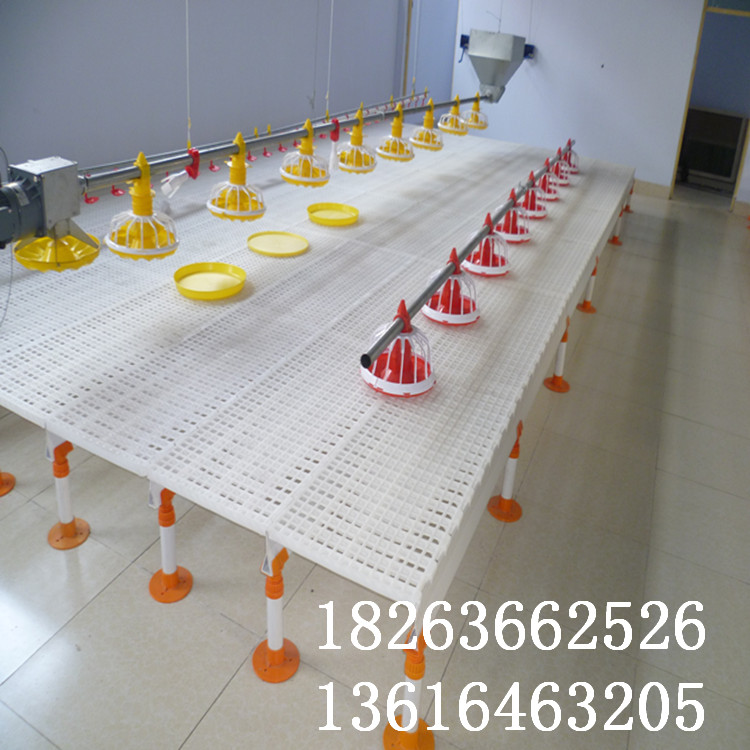 育雛保溫塑料地板 圓孔漏糞地板 塑料地板生產(chǎn)廠家