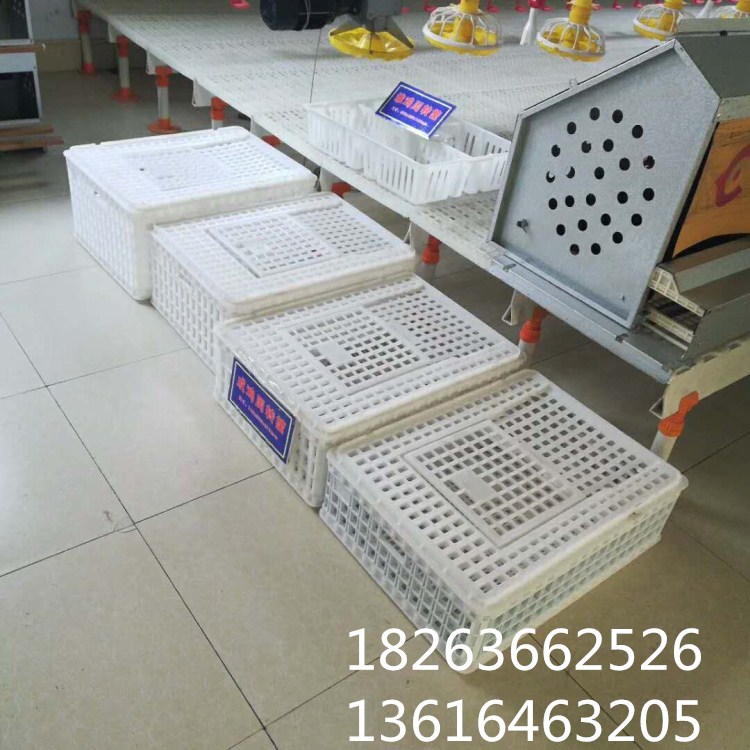 雞鴨鵝運輸筐 塑料雞筐 活禽運輸籠