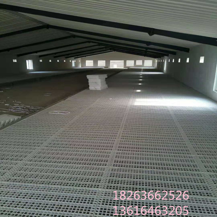雞鴨鵝用漏糞板 漏糞地板生產(chǎn)廠家 塑料養(yǎng)殖地板價(jià)格