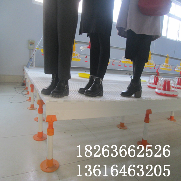 種雞用糞板 種雞*塑料漏糞地板 家禽用養(yǎng)殖漏糞板