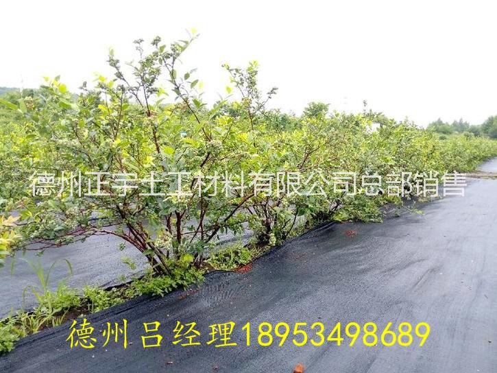 廣西90g防草布園藝地布廠家防草布價(jià)格，一畝地用多少防草布，一平方防草布多少錢？