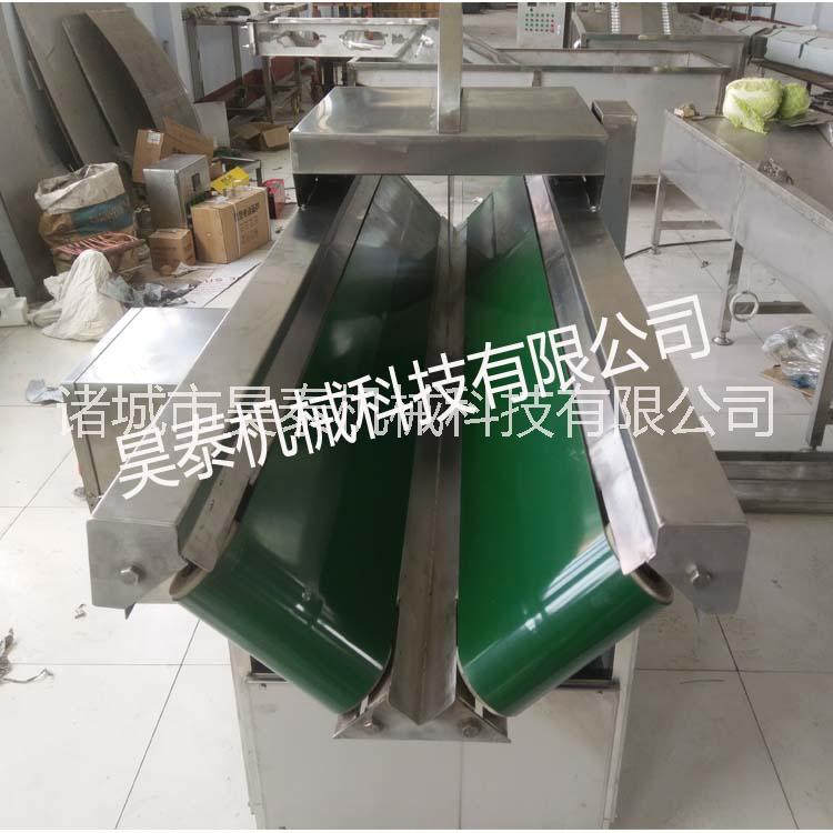 HT-QBJ 泡菜加工*設備 白菜切半機今年價格行情