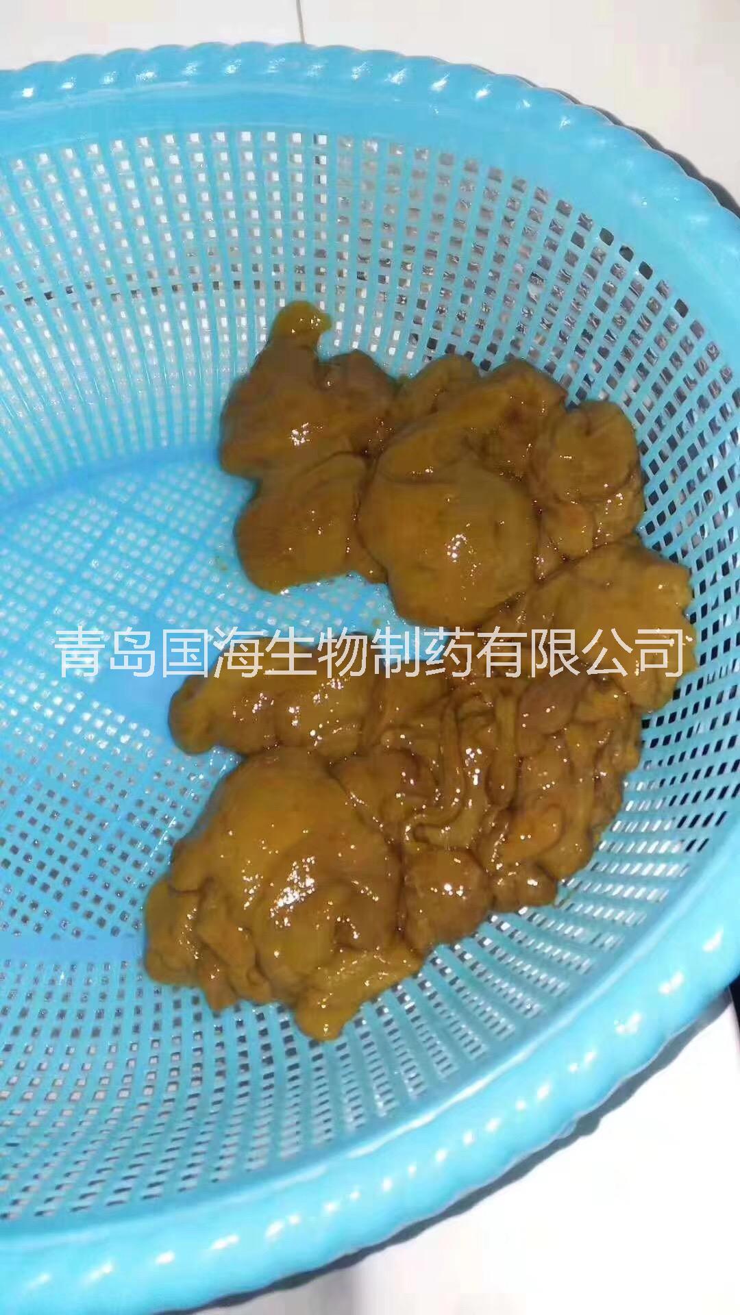 腸道* 腸道*供應OEM、代理