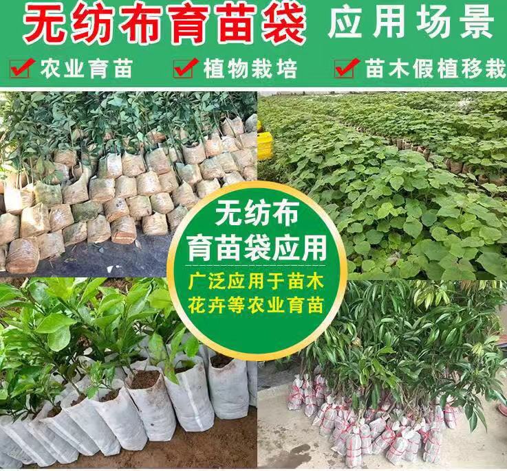 輕基質(zhì)育苗網(wǎng)袋