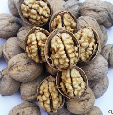 薄皮核桃 薄皮核桃報(bào)價(jià) 薄皮核桃直銷(xiāo) 薄皮核桃哪家好 薄皮核桃批發(fā) 薄皮核桃生產(chǎn)廠(chǎng)家 薄皮核桃供應(yīng)商