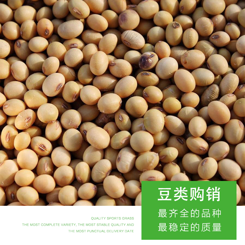綠豆雜糧 農家小紅豆廠家供應 糧食大豆農家自產有機散裝豆類五谷雜糧批發(fā)