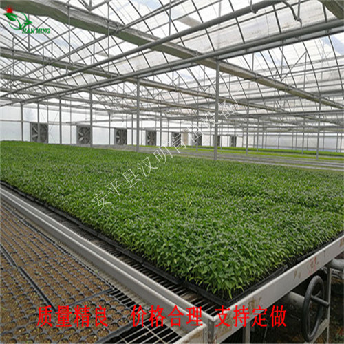 2019黑龍江水稻育苗床的育苗方法-可提高生產(chǎn)量