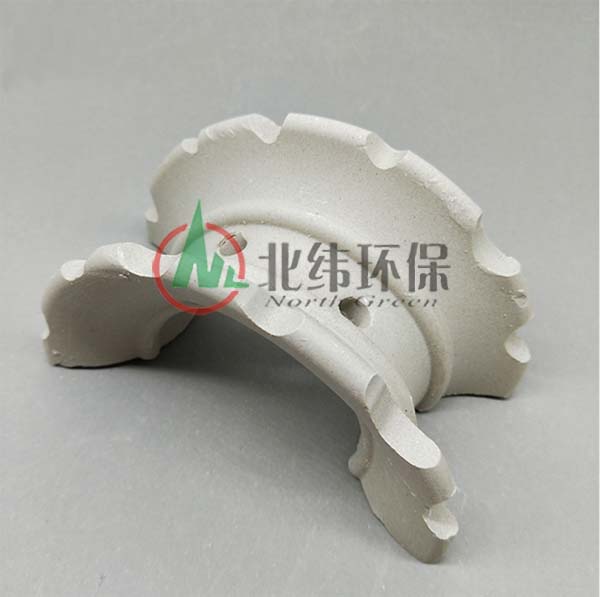 陶瓷異鞍環(huán)