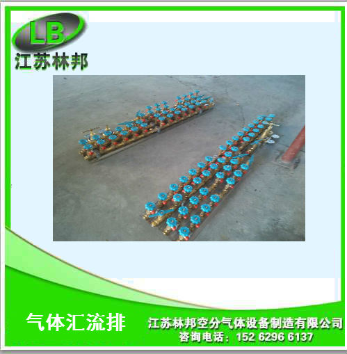 氣體匯流排 江蘇氣體匯流排 氣體匯流排廠家 氣體匯流排供應(yīng)商