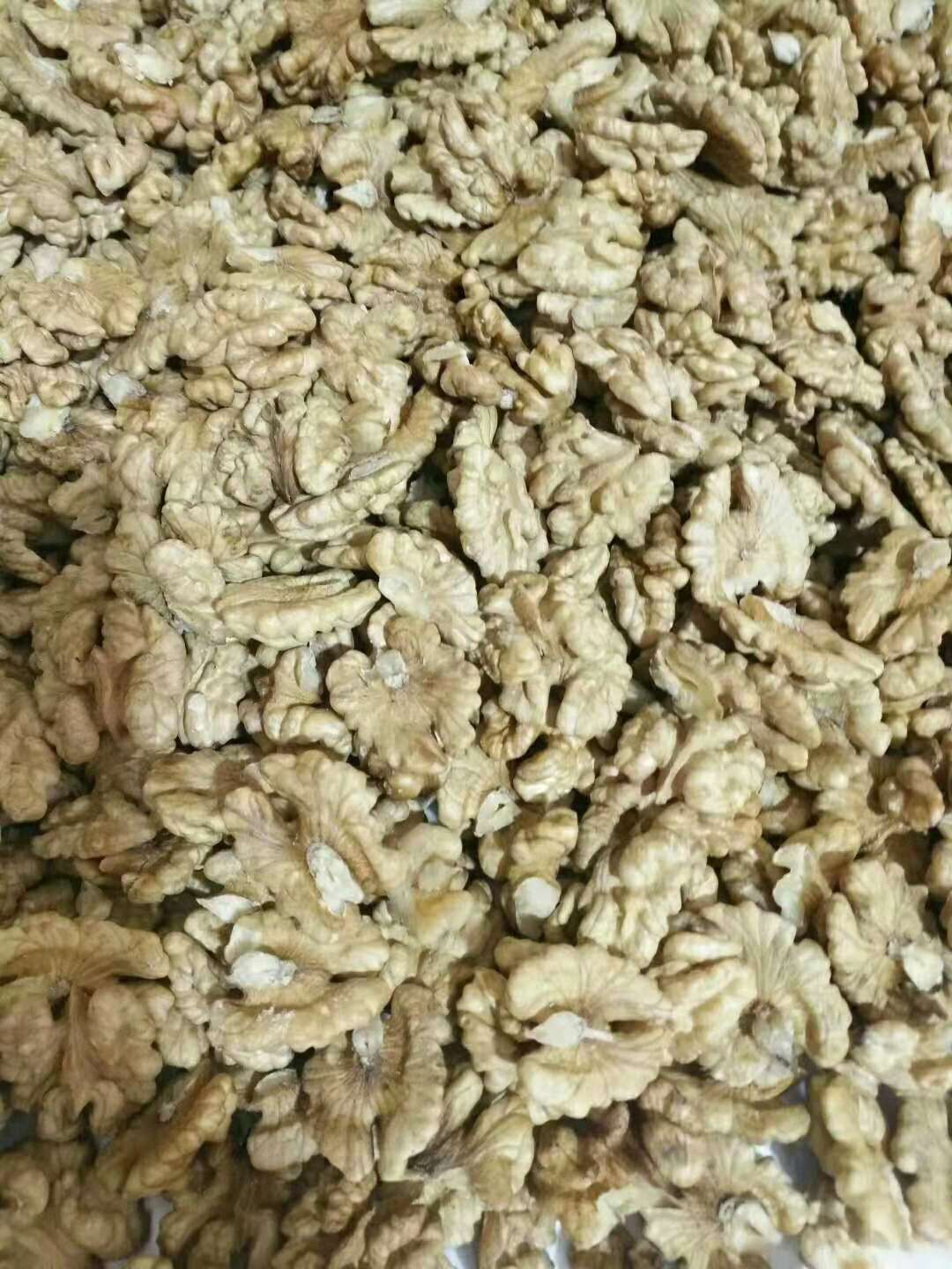 新鮮核桃仁 原味核桃碎烘焙*  各種規(guī)格核桃仁批發(fā)