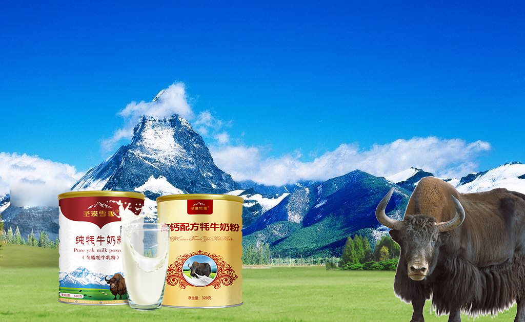 甘肅——圣漠雪源純牦牛奶粉OEM