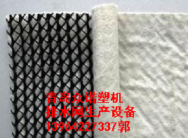 廠家直銷PE塑料排水網(wǎng)設(shè)備 三維網(wǎng)設(shè)備 塑料排水網(wǎng)設(shè)備廠家