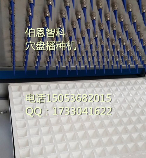 泡沫穴盤播種機(jī) 辣椒播種機(jī)