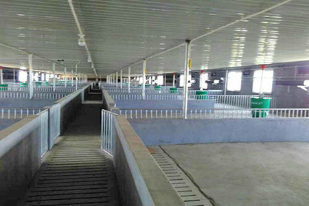 成套養(yǎng)豬設(shè)備玻璃鋼料塔的優(yōu)勢