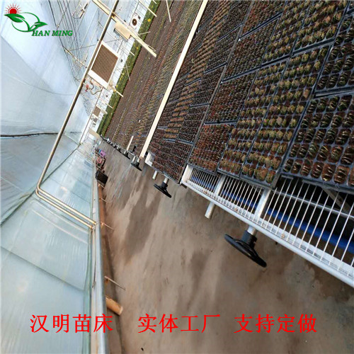 出售優(yōu)質(zhì)移動苗床-漢明育苗床-安平廠家