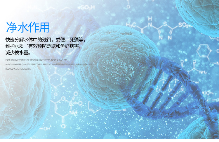 水產(chǎn)EM菌 水質(zhì)改良劑