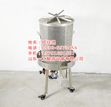 冰葡萄壓榨機(jī) 蘋(píng)果壓汁機(jī)