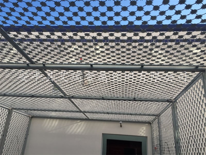 看守所梅花刺網(wǎng)-梅花刺鋼網(wǎng)墻-保護(hù)地花刺網(wǎng)護(hù)欄