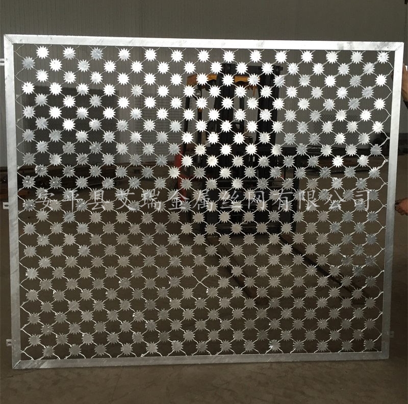 看守所梅花刺網(wǎng)-梅花刺鋼網(wǎng)墻-保護(hù)地花刺網(wǎng)護(hù)欄