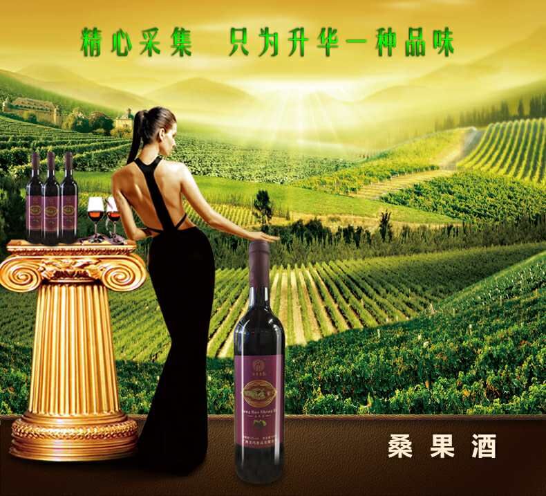 國康壹號桑果酒-廣西國康壹號桑果酒招商熱線/廠家批發(fā)價格