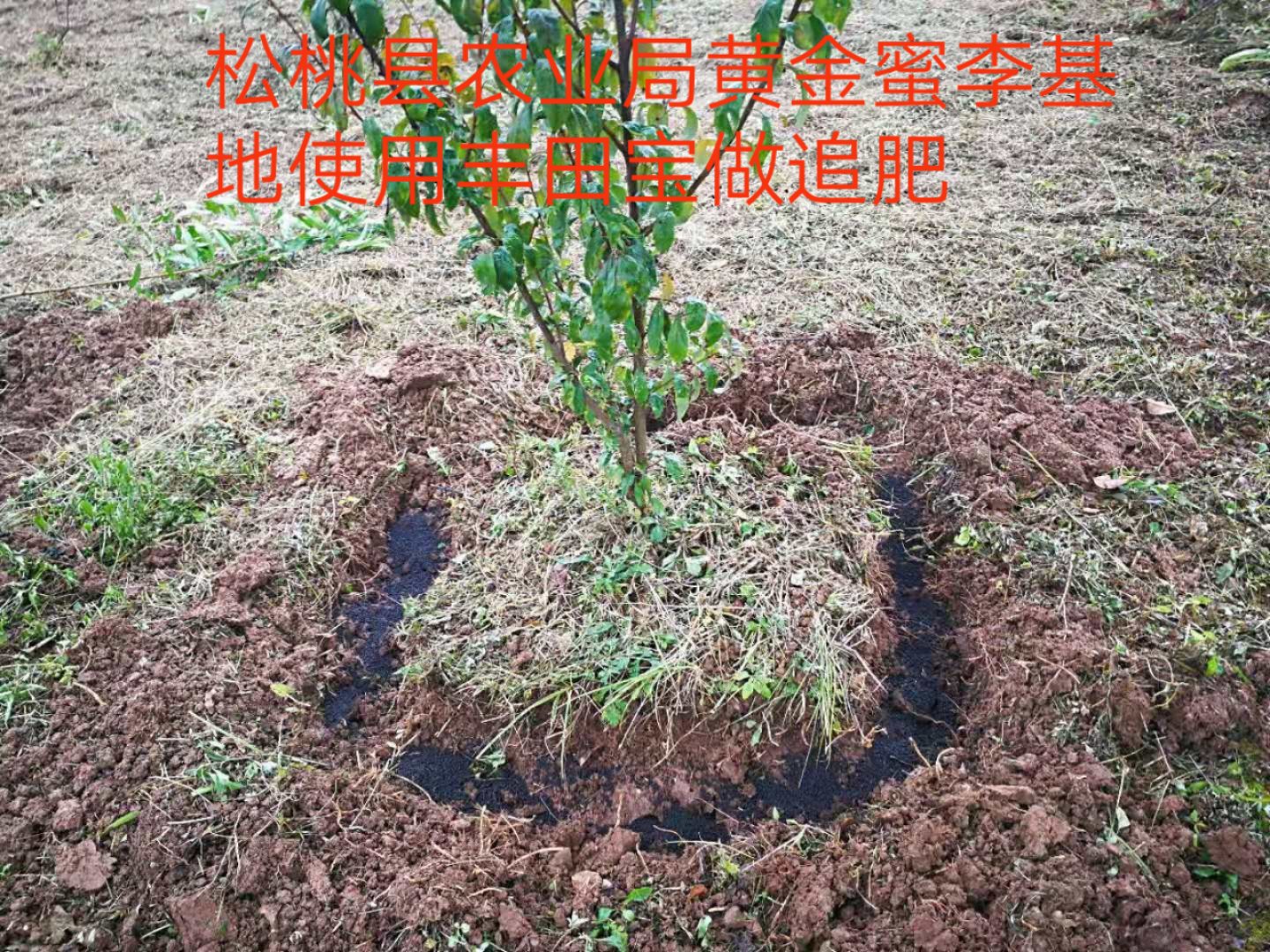貴州有機(jī)肥料供應(yīng)商，貴州有機(jī)肥料廠家批發(fā)，蔬菜類有機(jī)肥料廠家報價
